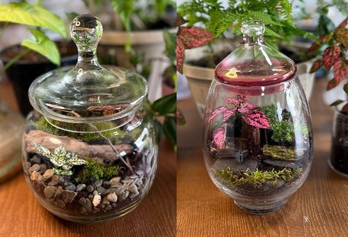 Terrarium Class